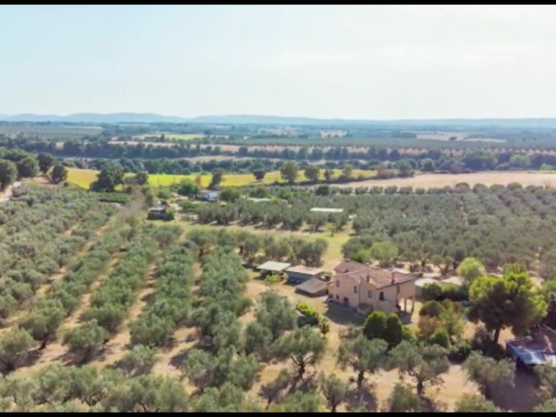 Tipologia Immobile: rustico/casale Provincia: viterbo Comune: viterbo Località: cassia sud Indirizzo: