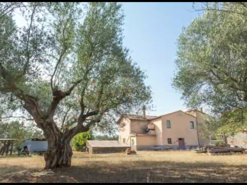 Tipologia Immobile: rustico/casale Provincia: viterbo Comune: viterbo Località: cassia sud Indirizzo: