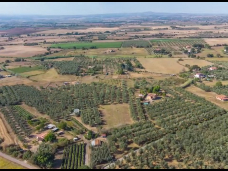 Tipologia Immobile: rustico/casale Provincia: viterbo Comune: viterbo Località: cassia sud Indirizzo: