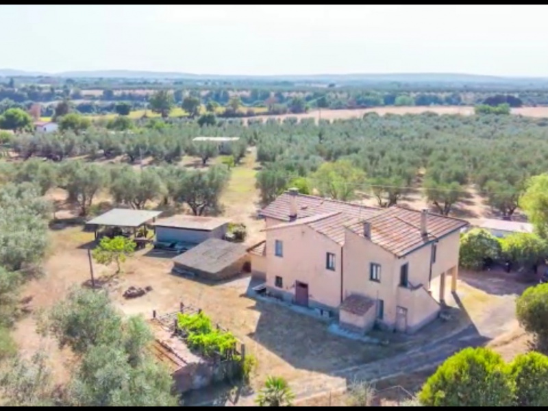 Tipologia Immobile: rustico/casale Provincia: viterbo Comune: viterbo Località: cassia sud Indirizzo: