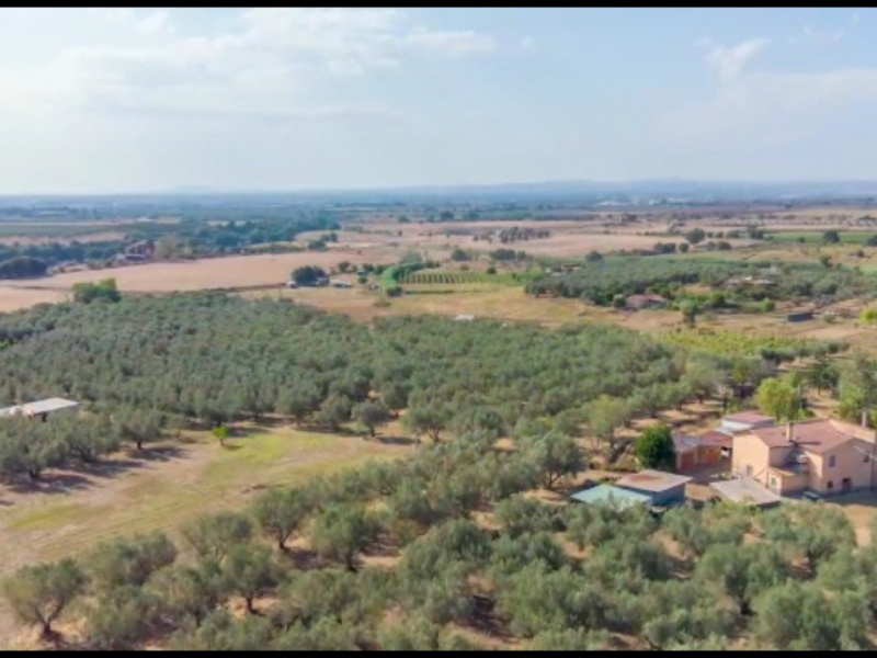 Tipologia Immobile: rustico/casale Provincia: viterbo Comune: viterbo Località: cassia sud Indirizzo: