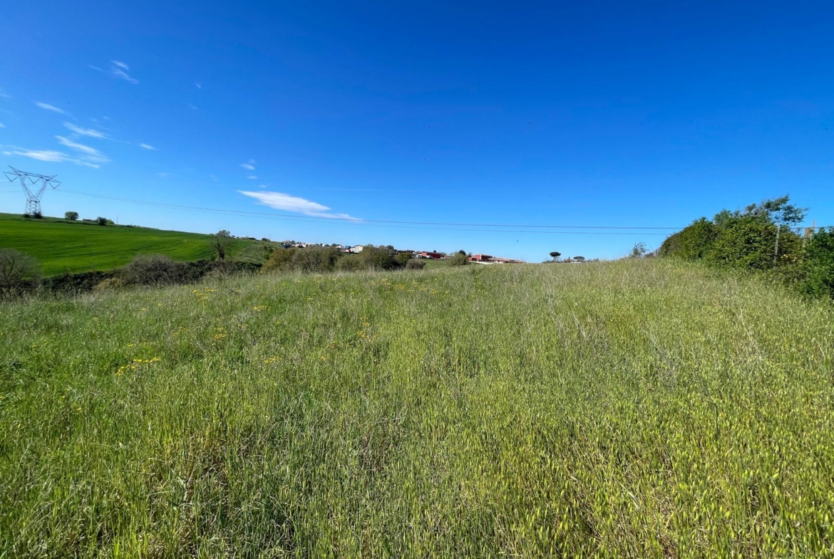 Tipologia Immobile: terreno agricolo Provincia: roma Comune: ardea Località: montagnano Indirizzo: Via della Pescarella