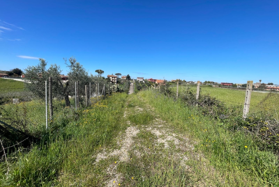 Tipologia Immobile: terreno agricolo Provincia: roma Comune: ardea Località: montagnano Indirizzo: Via della Pescarella
