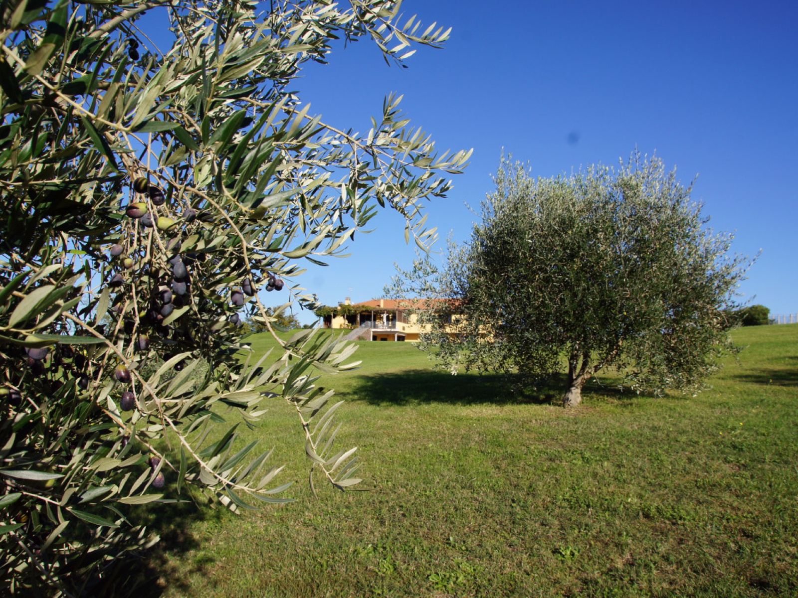 Tipologia Immobile: villa / indipendente / semi indipendente Provincia: roma Comune: campagnano di roma Località:  Indirizzo: Strada delle Cese