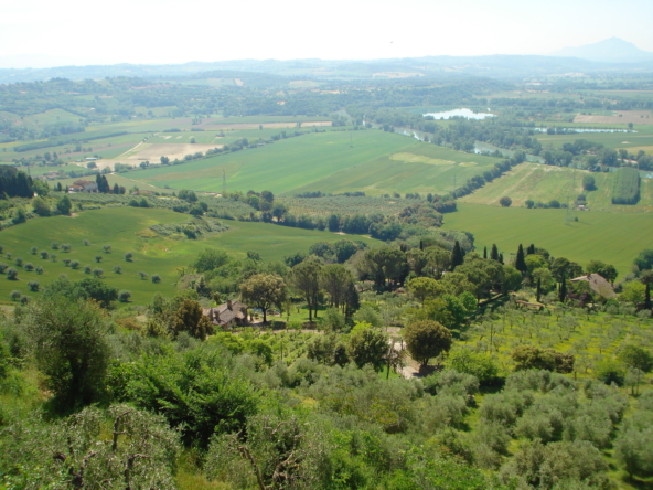 Tipologia Immobile: appartamento Provincia: terni Comune: narni Località:  Indirizzo: San Vito