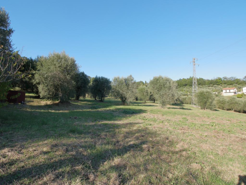 Tipologia Immobile: rustico/casale Provincia: terni Comune: amelia Località:  Indirizzo: