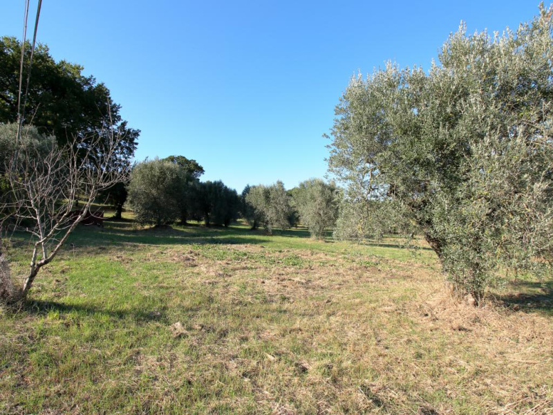Tipologia Immobile: rustico/casale Provincia: terni Comune: amelia Località:  Indirizzo: