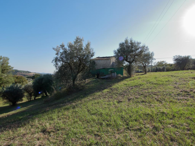 Tipologia Immobile: rustico/casale Provincia: terni Comune: amelia Località:  Indirizzo: