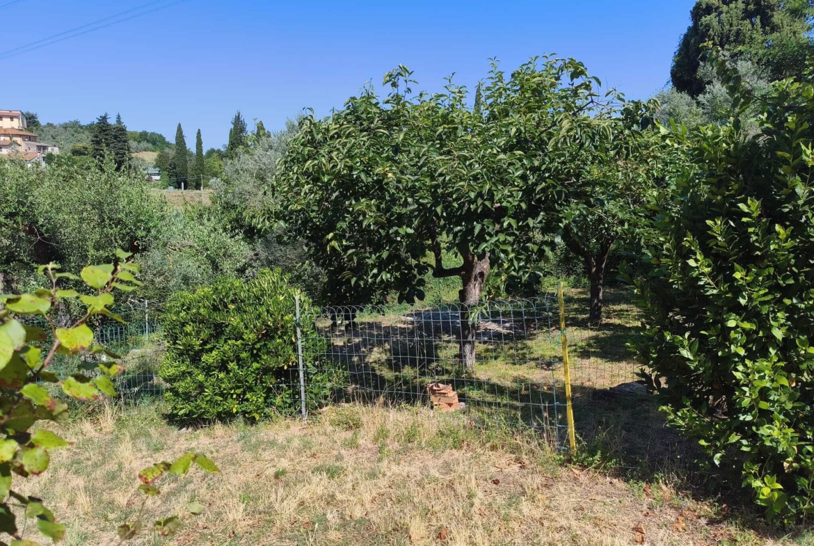 Tipologia Immobile: rustico/casale Provincia: firenze Comune: certaldo Località:  Indirizzo: Località Luia