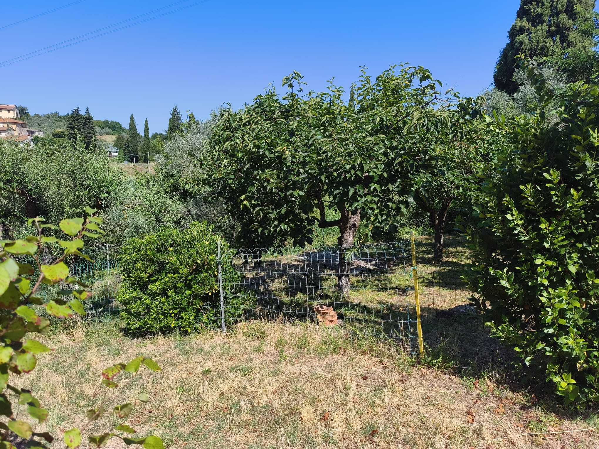 Tipologia Immobile: rustico/casale Provincia: firenze Comune: certaldo Località:  Indirizzo: Località Luia