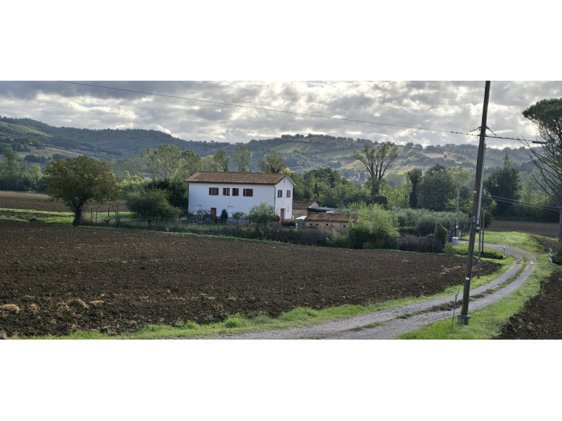 Tipologia Immobile: rustico/casale Provincia: perugia Comune: perugia Località: colombella Indirizzo: Strada Statale Eugubina