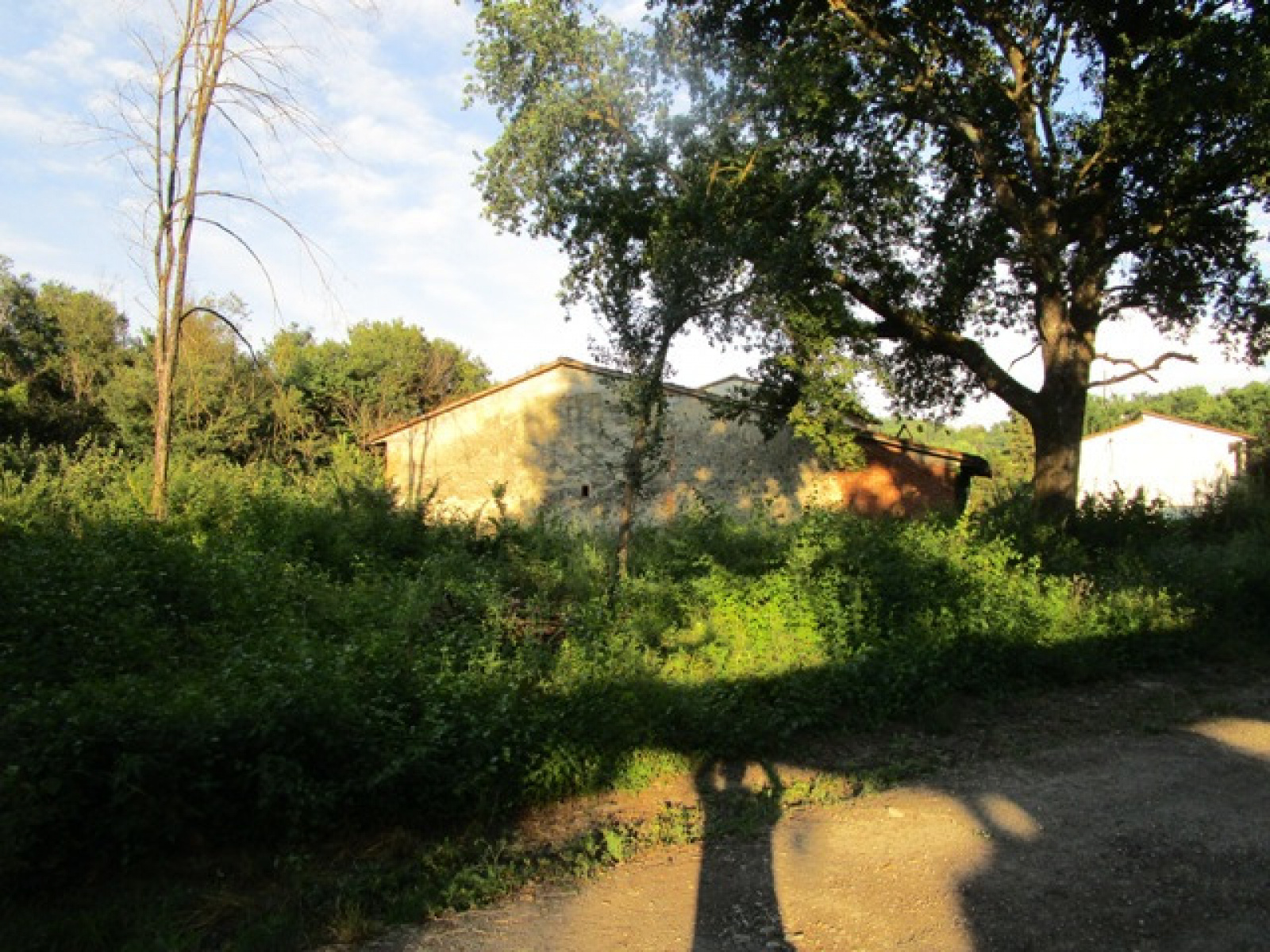 Tipologia Immobile: rustico/casale Provincia: arezzo Comune: terranuova bracciolini Località: tasso Indirizzo: Via Poggio Orlandi