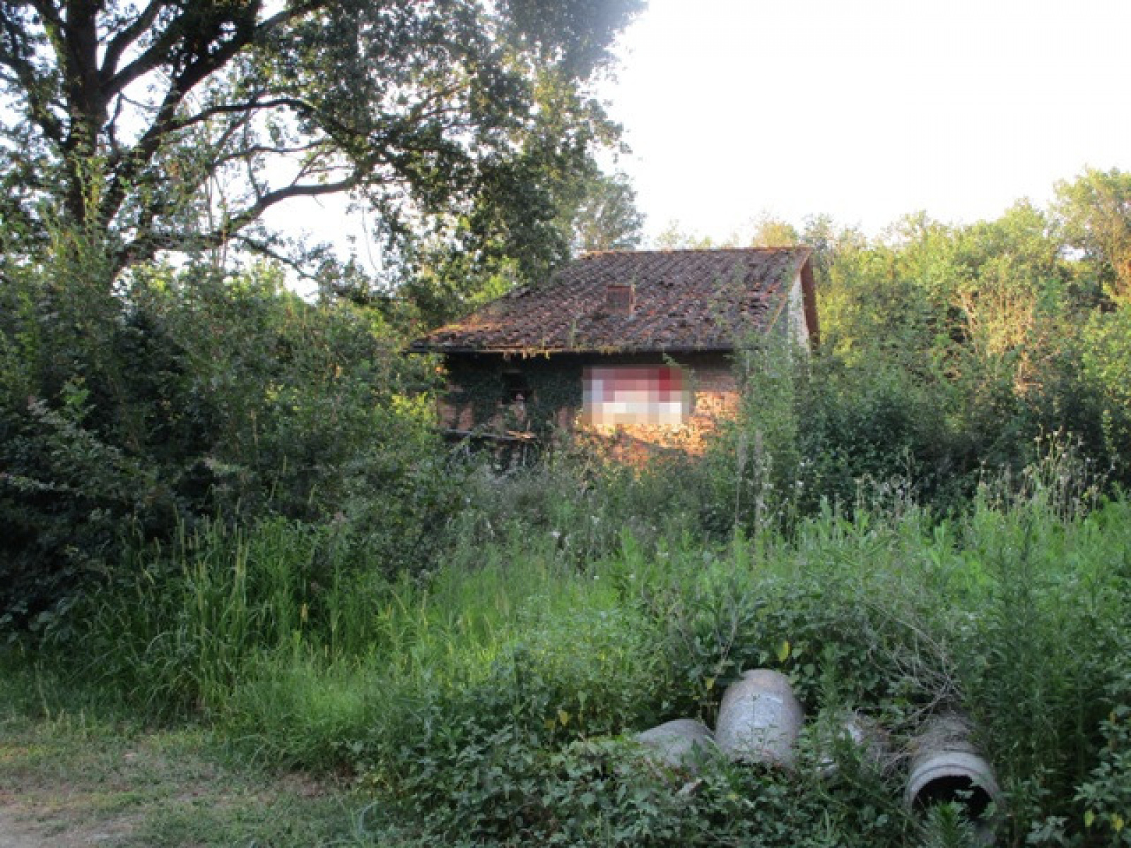 Tipologia Immobile: rustico/casale Provincia: arezzo Comune: terranuova bracciolini Località: tasso Indirizzo: Via Poggio Orlandi