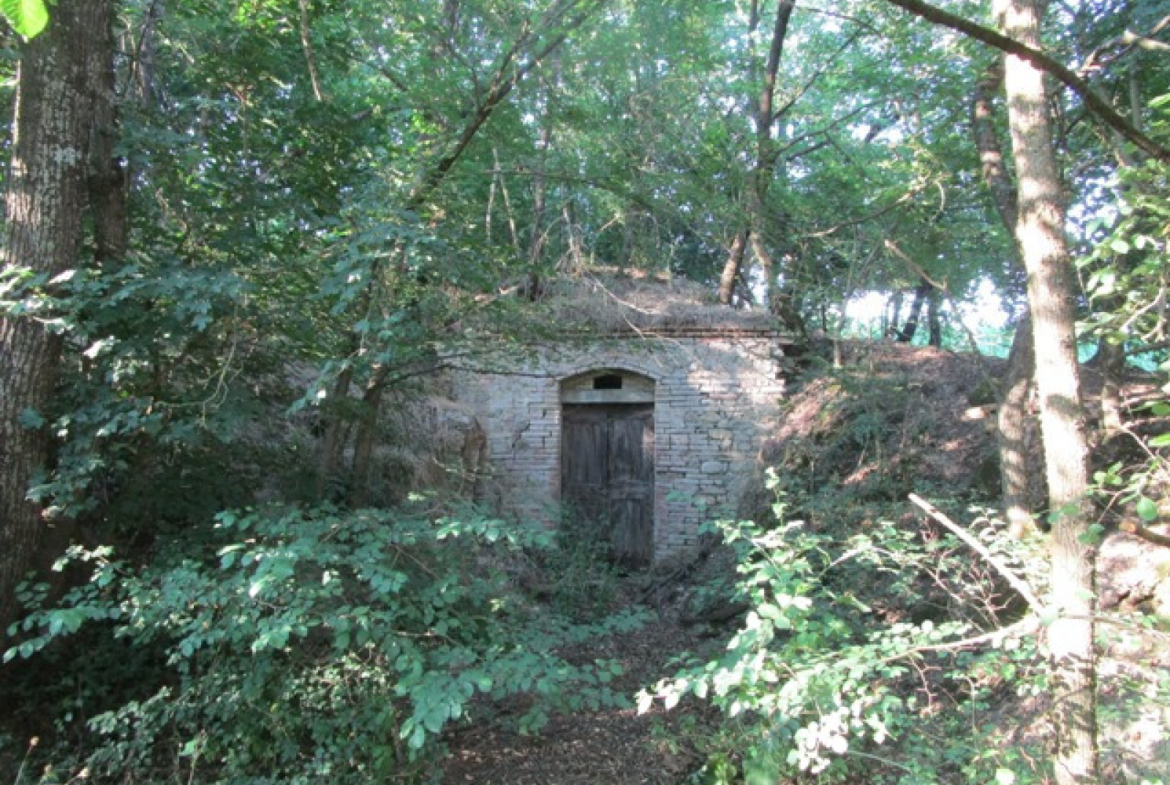 Tipologia Immobile: rustico/casale Provincia: arezzo Comune: terranuova bracciolini Località: tasso Indirizzo: Via Poggio Orlandi