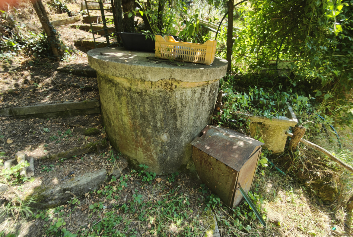 Tipologia Immobile: terreno agricolo Provincia: arezzo Comune: bucine Località: centro urbano Indirizzo: Via Guglielmo Oberdan