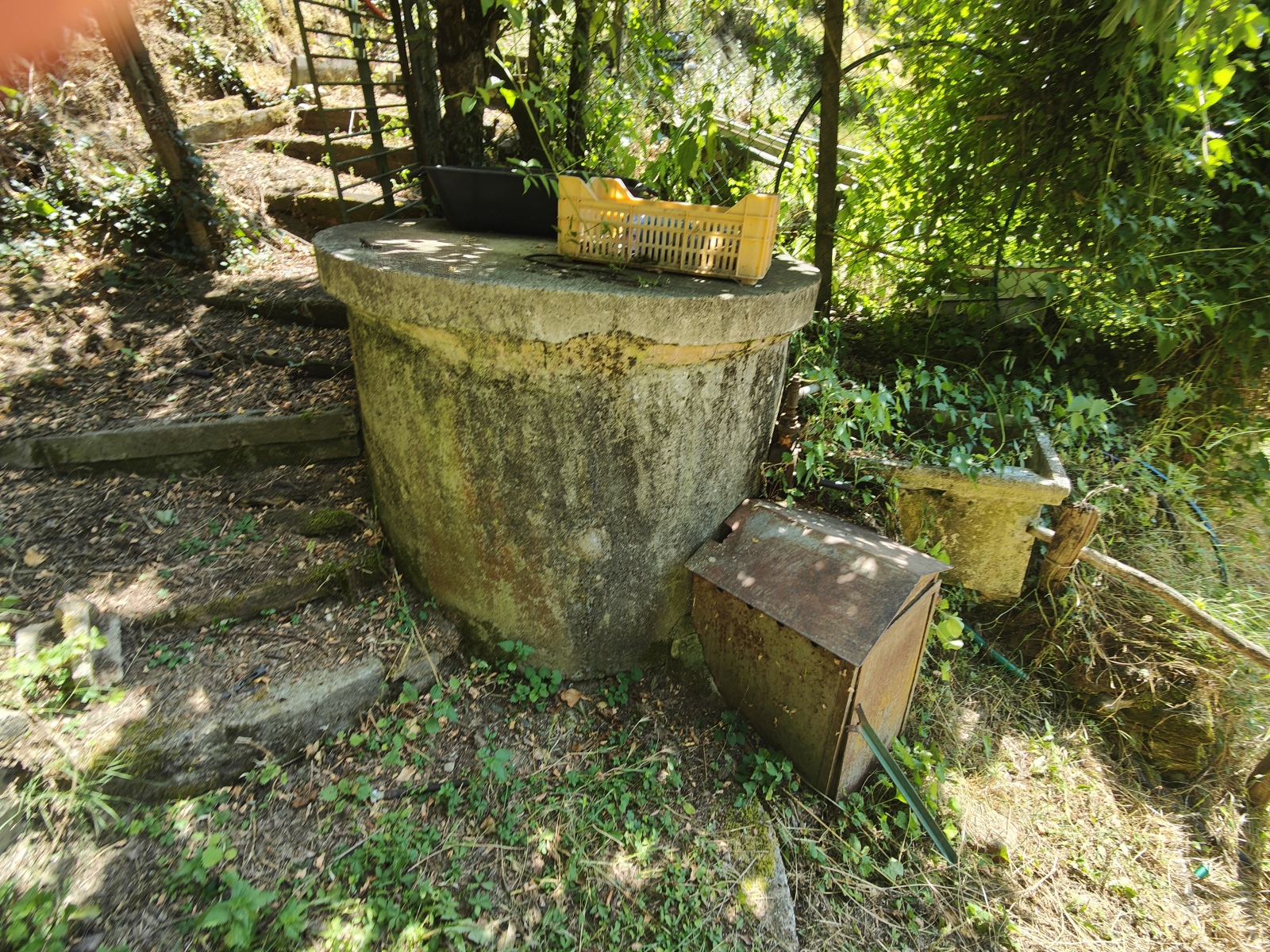 Tipologia Immobile: terreno agricolo Provincia: arezzo Comune: bucine Località: centro urbano Indirizzo: Via Guglielmo Oberdan