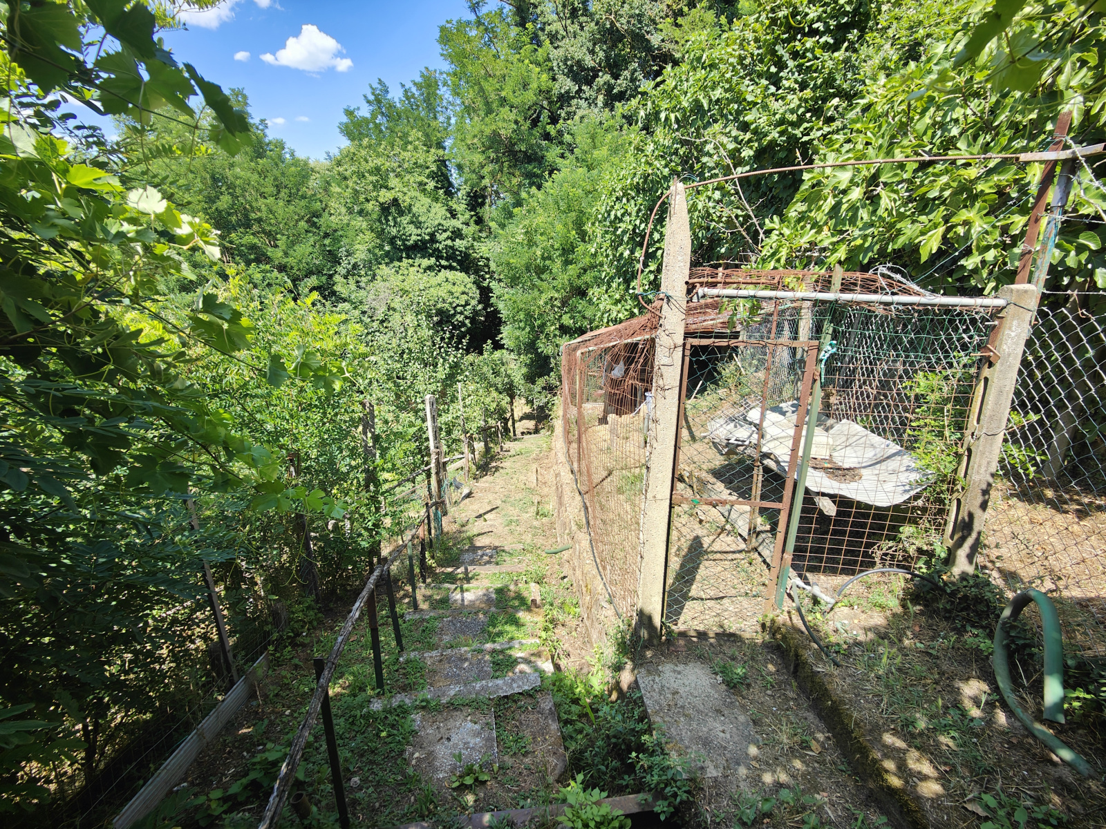 Tipologia Immobile: terreno agricolo Provincia: arezzo Comune: bucine Località: centro urbano Indirizzo: Via Guglielmo Oberdan