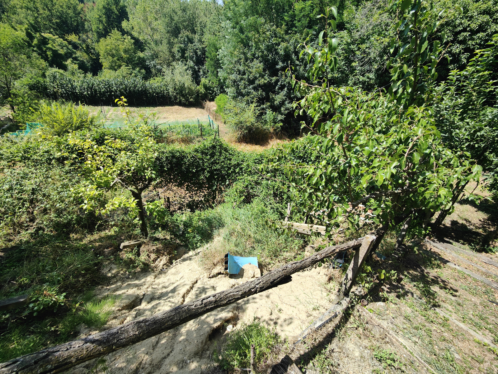 Tipologia Immobile: terreno agricolo Provincia: arezzo Comune: bucine Località: centro urbano Indirizzo: Via Guglielmo Oberdan