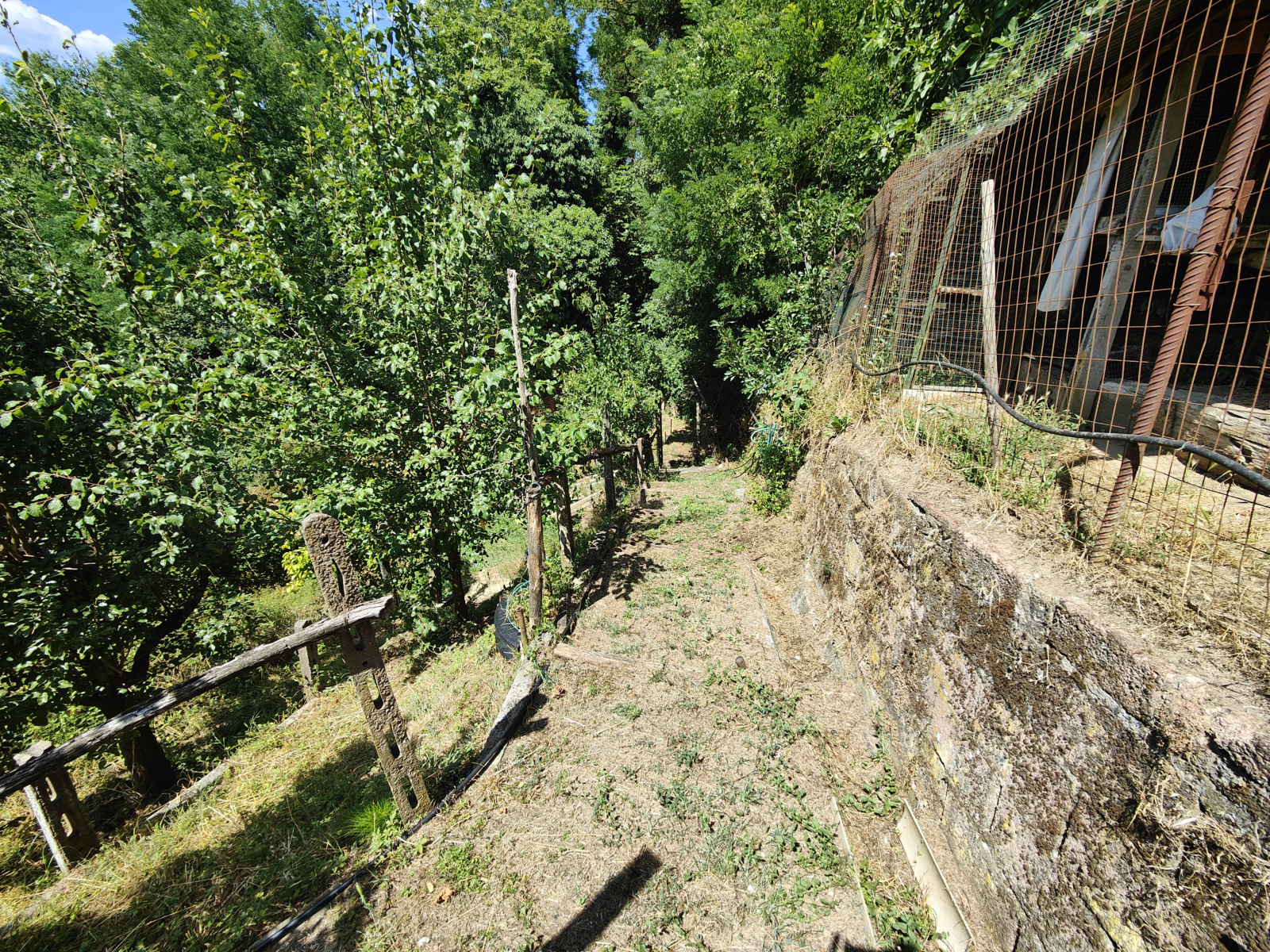 Tipologia Immobile: terreno agricolo Provincia: arezzo Comune: bucine Località: centro urbano Indirizzo: Via Guglielmo Oberdan