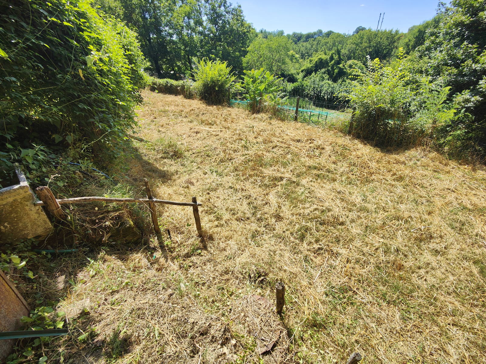 Tipologia Immobile: terreno agricolo Provincia: arezzo Comune: bucine Località: centro urbano Indirizzo: Via Guglielmo Oberdan