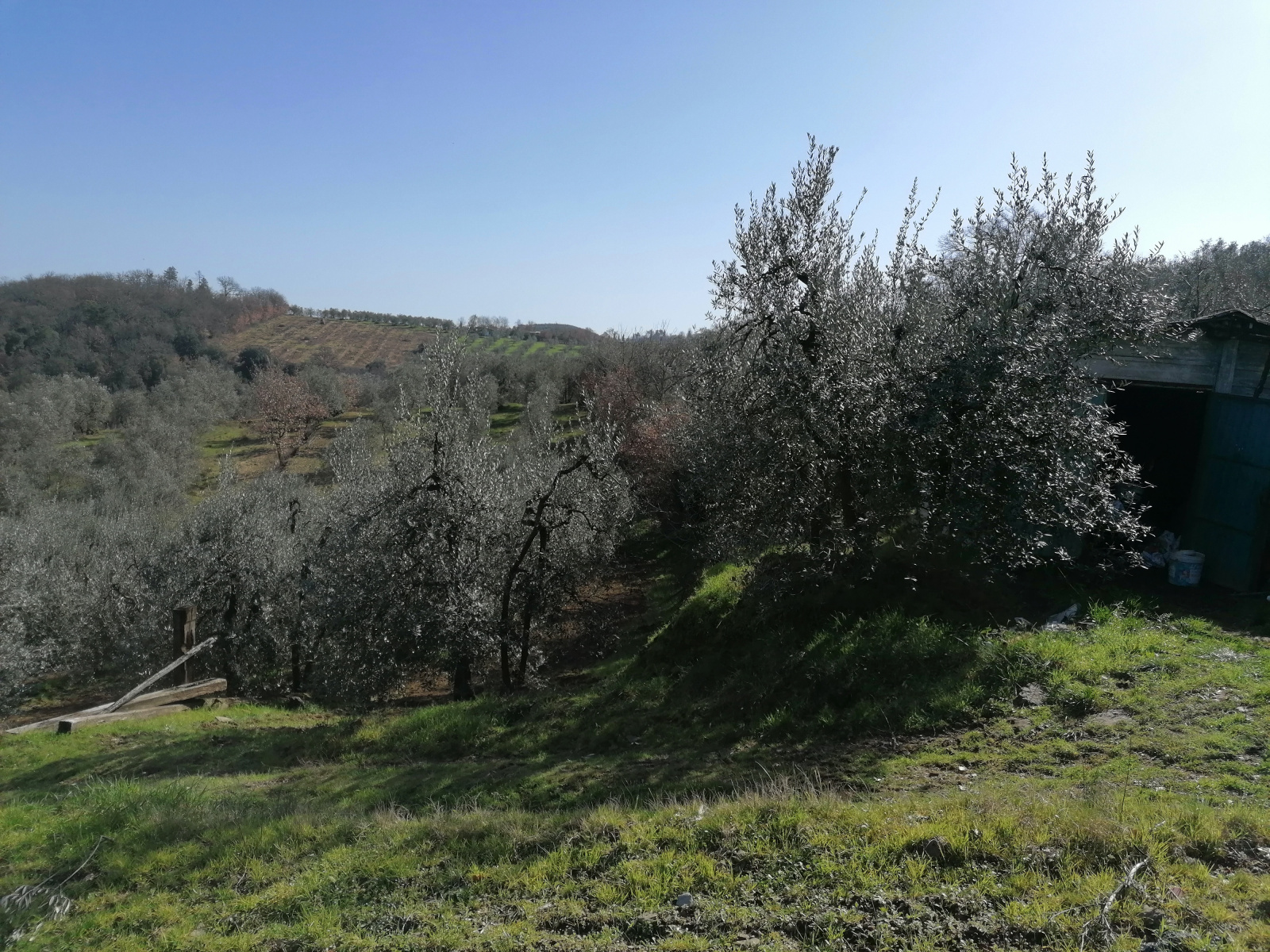 Tipologia Immobile: terreno agricolo Provincia: arezzo Comune: montevarchi Località: ventena Indirizzo: Via di Ventena
