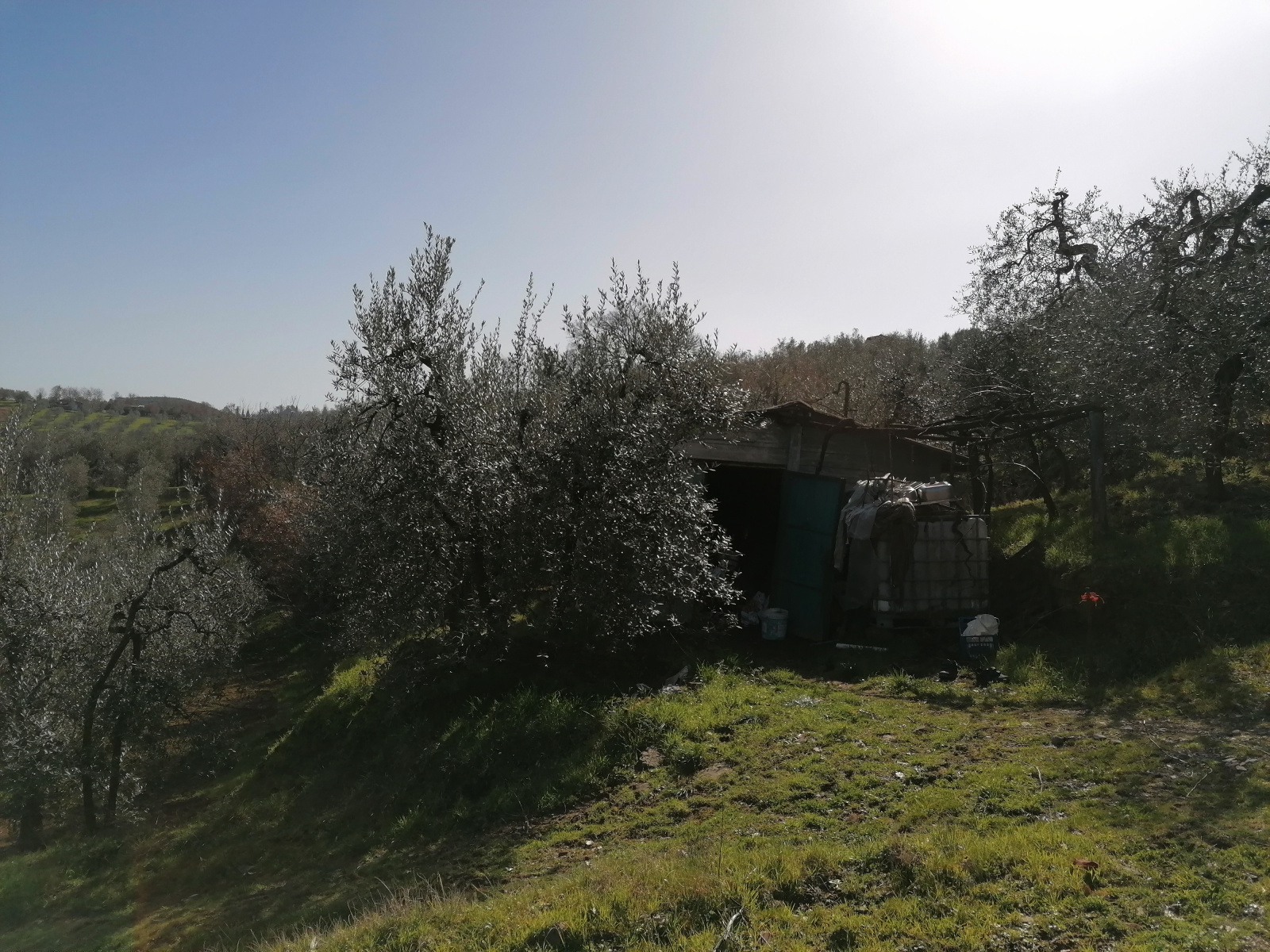 Tipologia Immobile: terreno agricolo Provincia: arezzo Comune: montevarchi Località: ventena Indirizzo: Via di Ventena