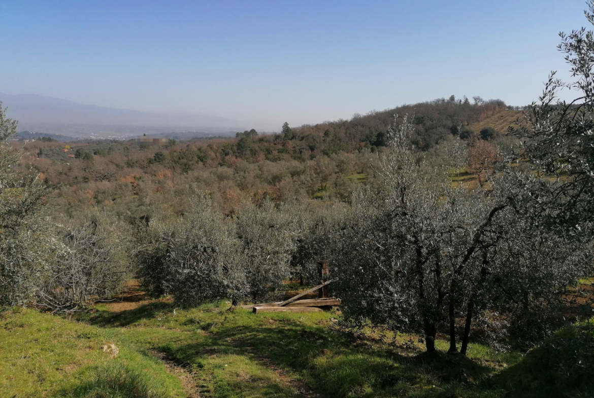 Tipologia Immobile: terreno agricolo Provincia: arezzo Comune: montevarchi Località: ventena Indirizzo: Via di Ventena