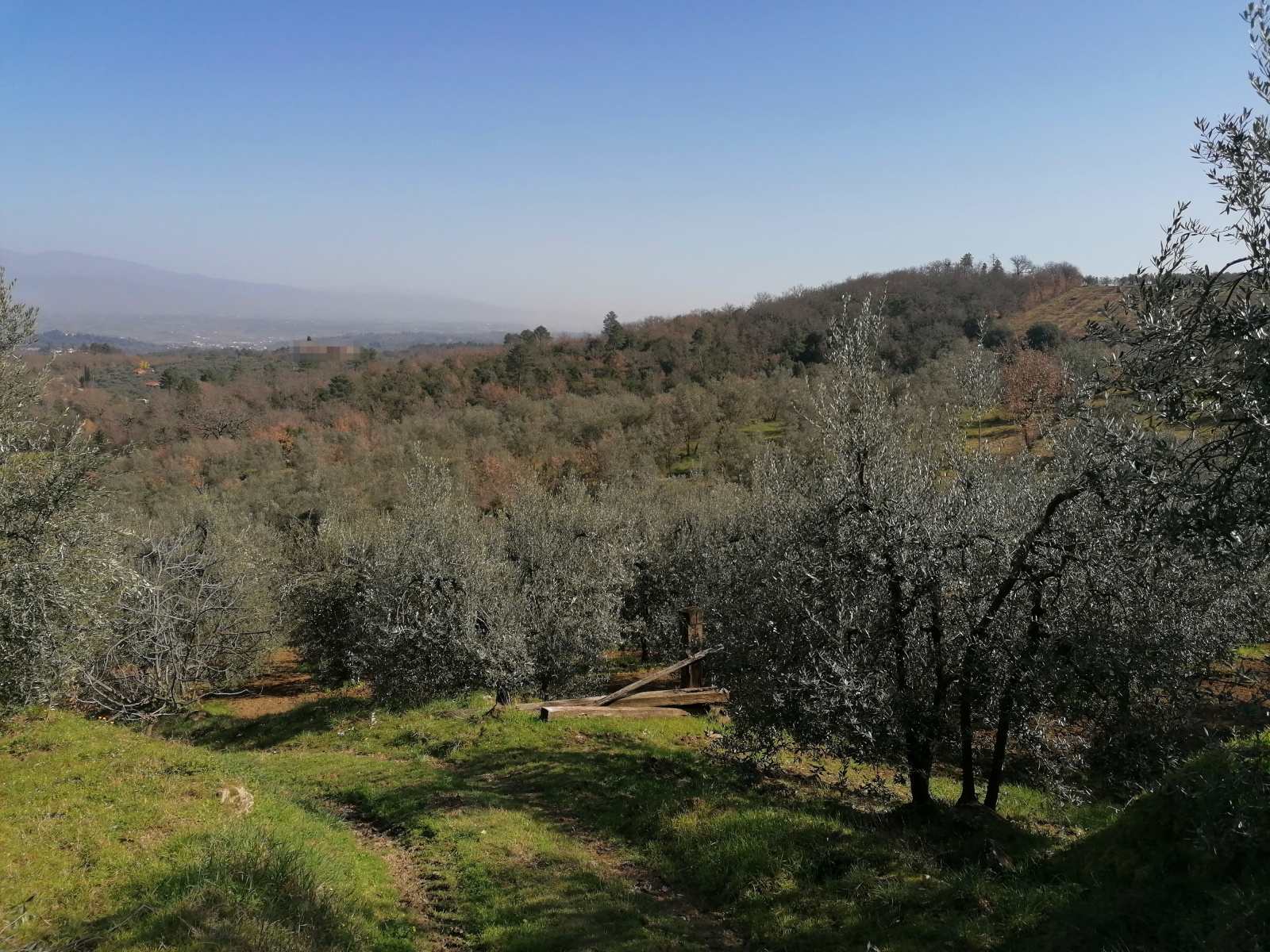 Tipologia Immobile: terreno agricolo Provincia: arezzo Comune: montevarchi Località: ventena Indirizzo: Via di Ventena