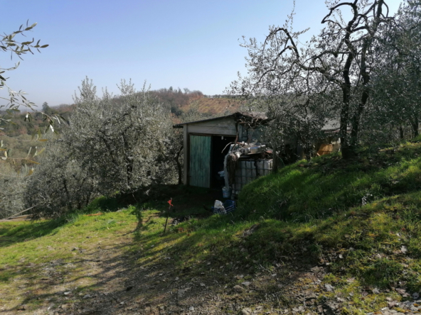 Tipologia Immobile: terreno agricolo Provincia: arezzo Comune: montevarchi Località: ventena Indirizzo: Via di Ventena