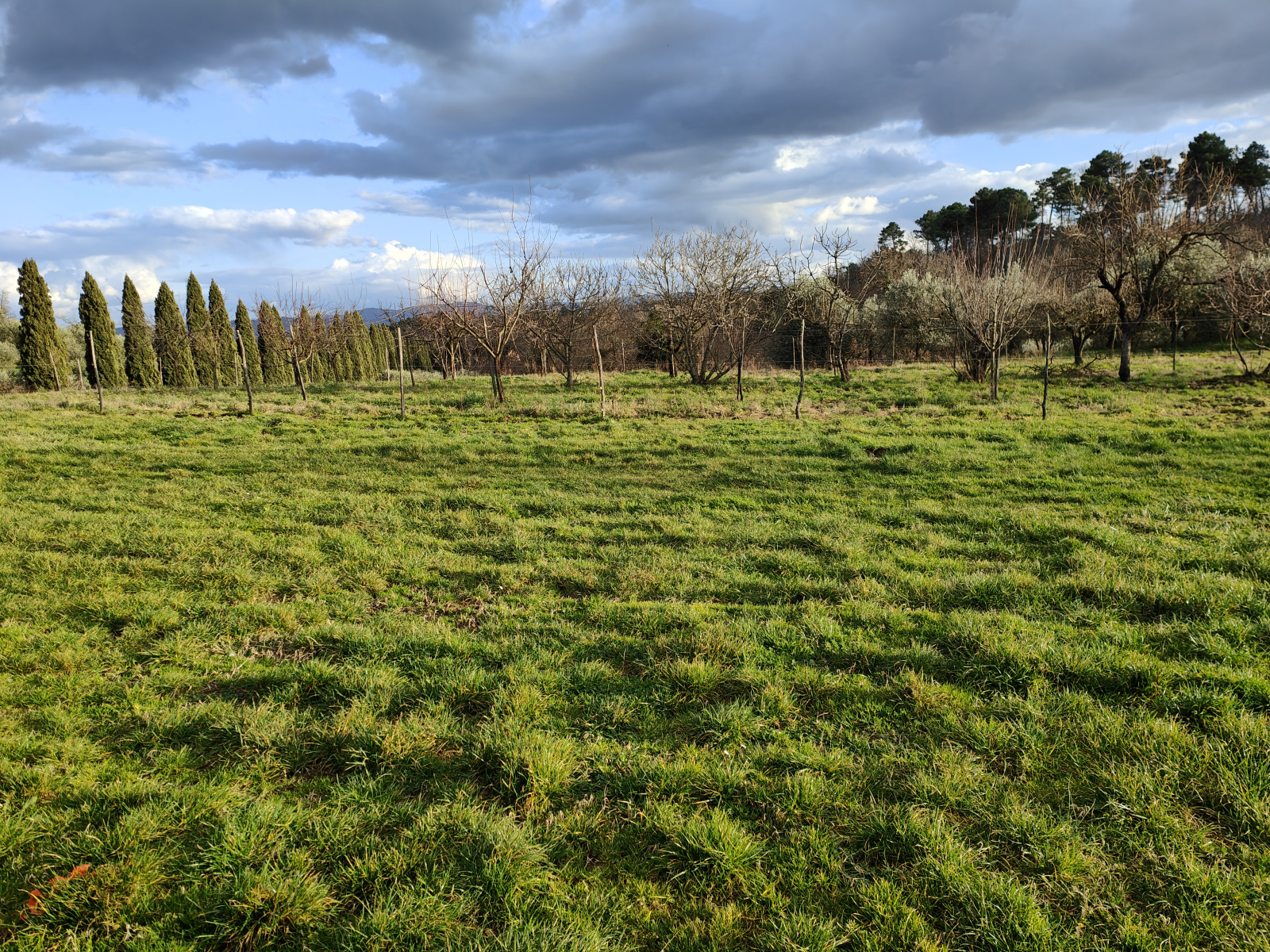 Tipologia Immobile: terreno agricolo Provincia: arezzo Comune: montevarchi Località: pestello Indirizzo: Via di Moncioni