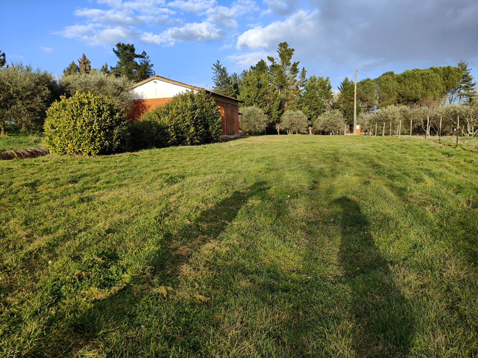 Tipologia Immobile: terreno agricolo Provincia: arezzo Comune: montevarchi Località: pestello Indirizzo: Via di Moncioni