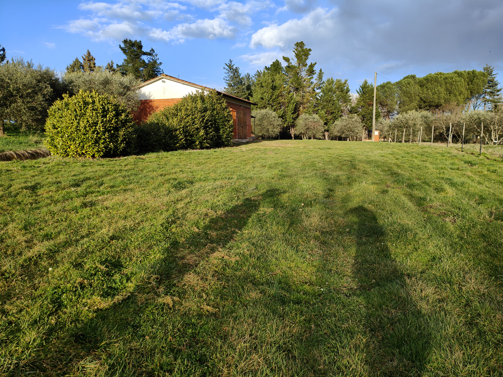 Tipologia Immobile: terreno agricolo Provincia: arezzo Comune: montevarchi Località: pestello Indirizzo: Via di Moncioni