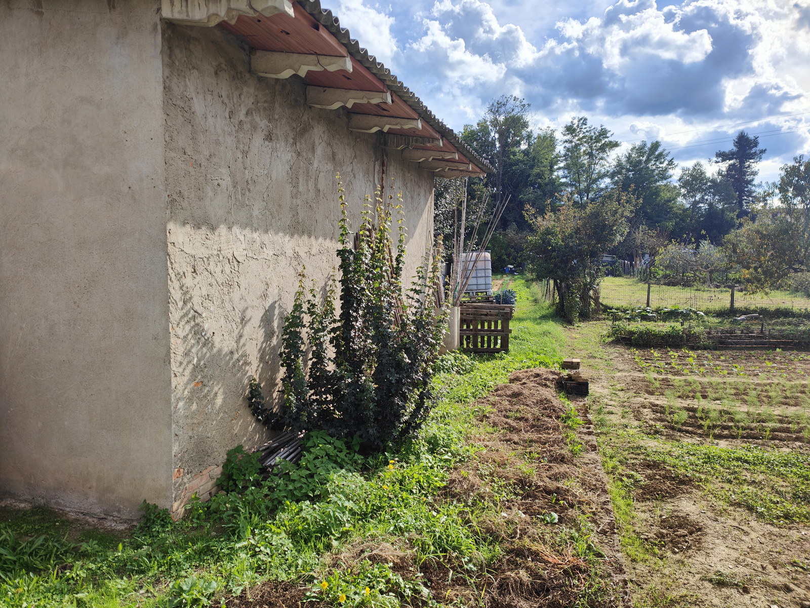 Tipologia Immobile: terreno agricolo Provincia: arezzo Comune: montevarchi Località: centro urbano Indirizzo: Località Gruccia