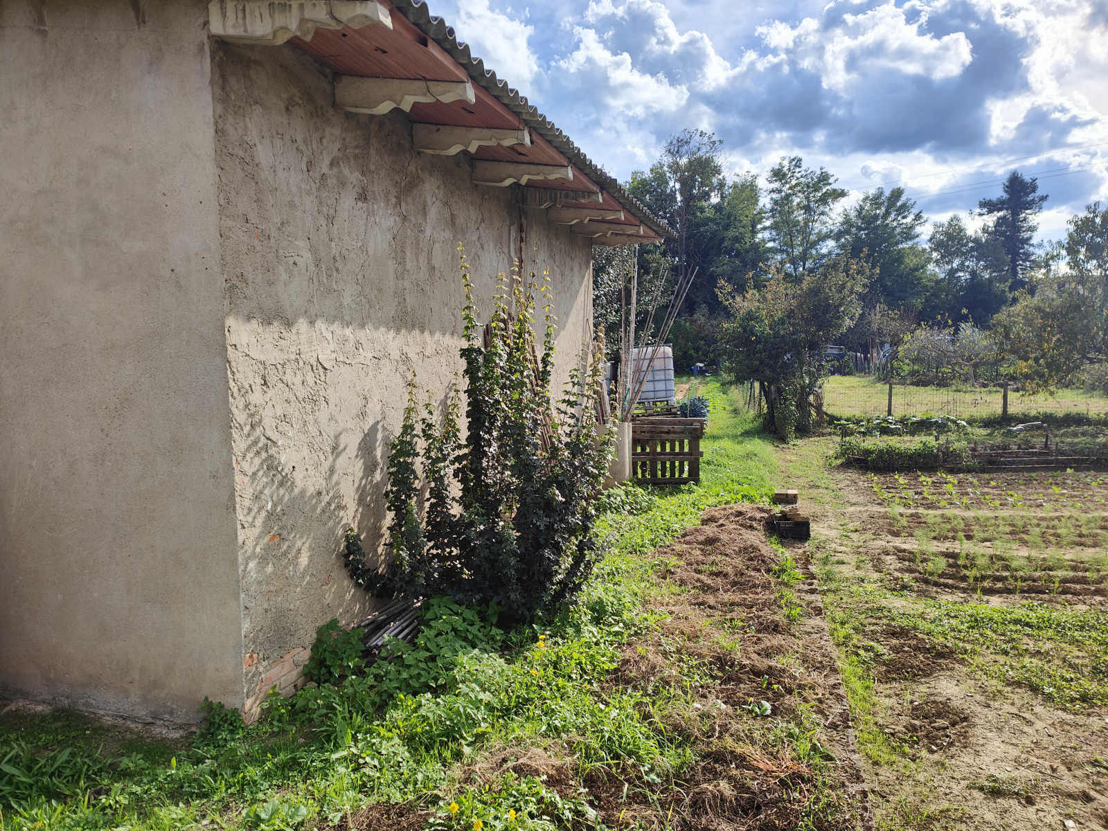 Tipologia Immobile: terreno agricolo Provincia: arezzo Comune: montevarchi Località: centro urbano Indirizzo: Località Gruccia