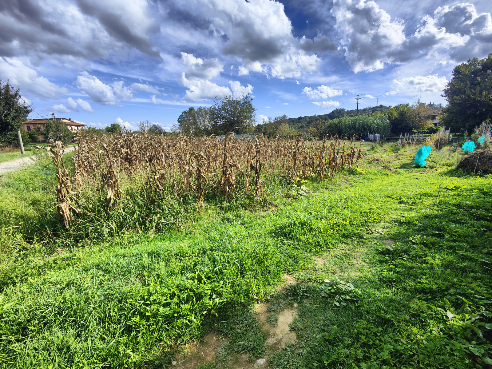 Tipologia Immobile: terreno agricolo Provincia: arezzo Comune: montevarchi Località: centro urbano Indirizzo: Località Gruccia