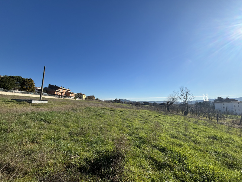 Tipologia Immobile: terreno edificabile Provincia: perugia Comune: panicale Località:  Indirizzo: Via Amerigo Vespucci